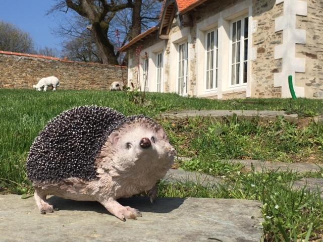 Gite L'Orangerie Villa Mouchamps Rom bilde