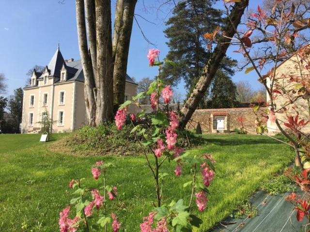 Gite L'Orangerie Villa Mouchamps Eksteriør bilde
